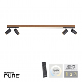 Lampa sufitowa PURE-LINES 6121-79