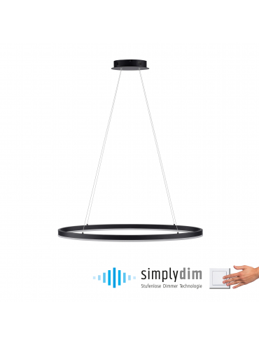 Lampa wisząca TITUS 2392-13