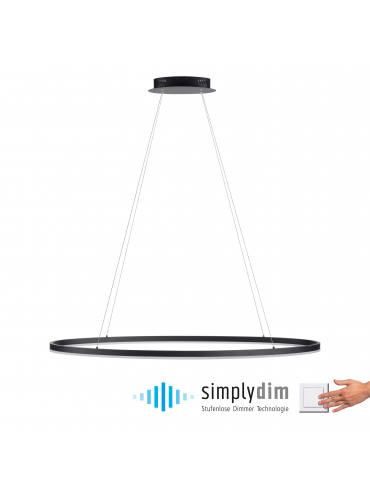 Lampa wisząca TITUS 2393-13
