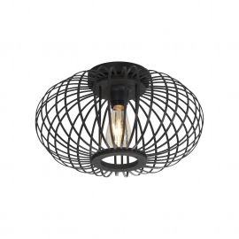 Lampa sufitowa RACOON 11410-18