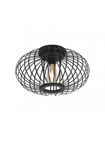 Lampa sufitowa RACOON 11410-18