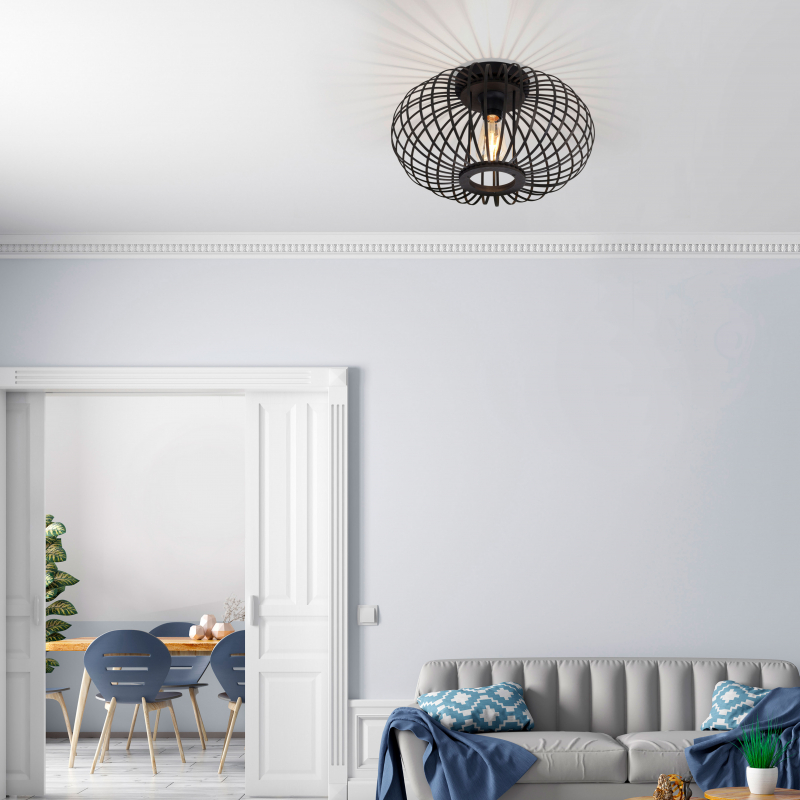 Lampa sufitowa RACOON 11410-18