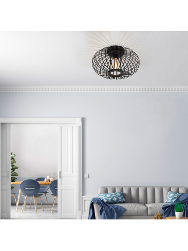 Lampa sufitowa RACOON 11410-18