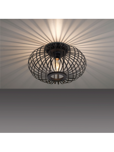 Lampa sufitowa RACOON 11410-18
