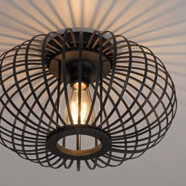 Lampa sufitowa RACOON 11410-18