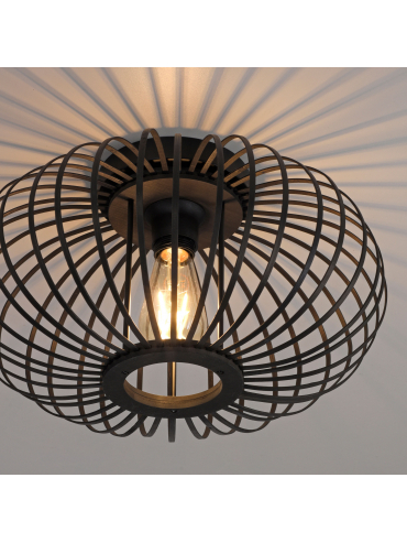 Lampa sufitowa RACOON 11410-18