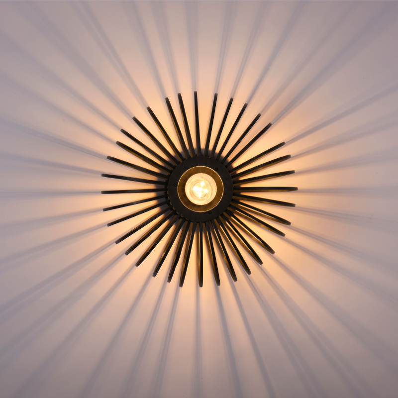 Lampa sufitowa RACOON 11410-18