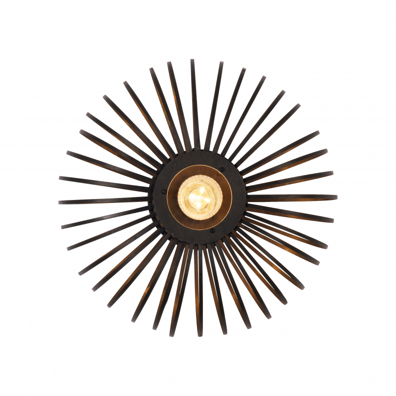 Lampa sufitowa RACOON 11410-18