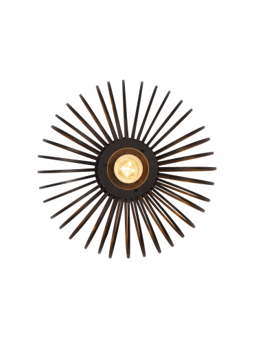 Lampa sufitowa RACOON 11410-18