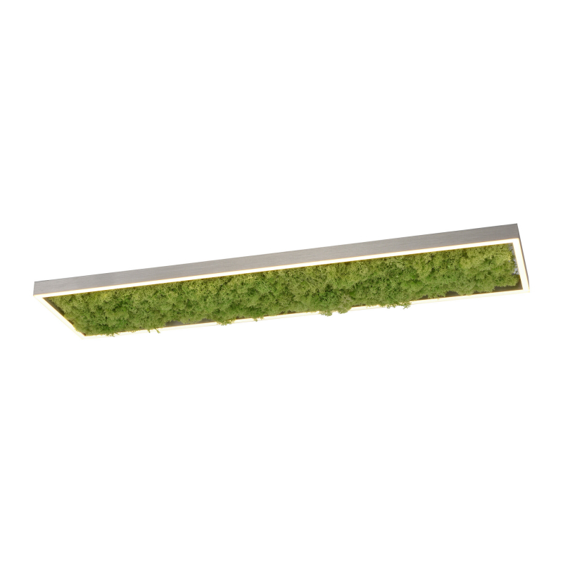 Lampa sufitowa GREEN KNUT 15623-66