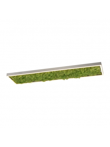 Lampa sufitowa GREEN KNUT 15623-66