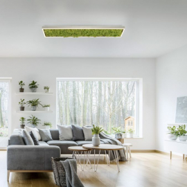 Lampa sufitowa GREEN KNUT 15623-66