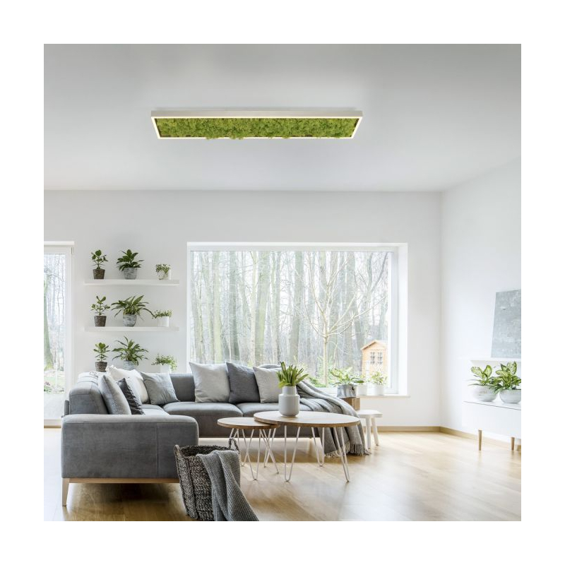 Lampa sufitowa GREEN KNUT 15623-66