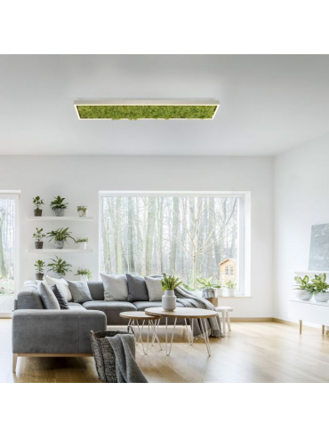 Lampa sufitowa GREEN KNUT 15623-66