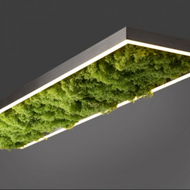 Lampa sufitowa GREEN KNUT 15623-66