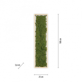 Lampa sufitowa GREEN KNUT 15623-66