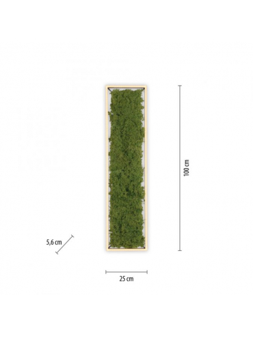 Lampa sufitowa GREEN KNUT 15623-66