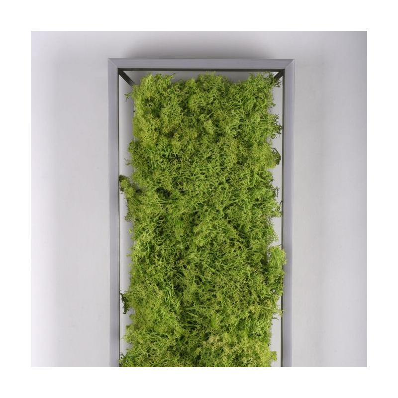 Lampa sufitowa GREEN KNUT 15623-66