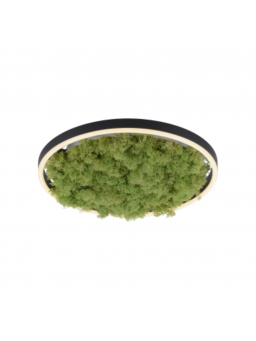 Lampa sufitowa GREEN RITUS 15391-66