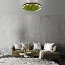 Lampa sufitowa GREEN RITUS 15391-66