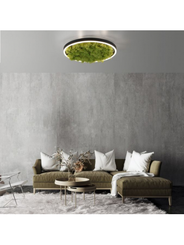 Lampa sufitowa GREEN RITUS 15391-66