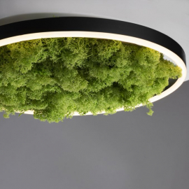 Lampa sufitowa GREEN RITUS 15391-66