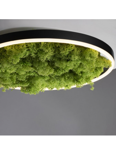 Lampa sufitowa GREEN RITUS 15391-66