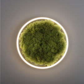 Lampa sufitowa GREEN RITUS 15391-66