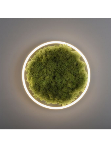 Lampa sufitowa GREEN RITUS 15391-66