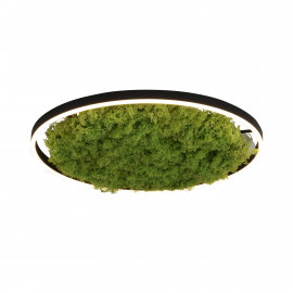 Lampa sufitowa GREEN RITUS 15392-66