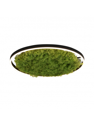 Lampa sufitowa GREEN RITUS 15392-66