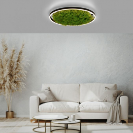 Lampa sufitowa GREEN RITUS 15392-66