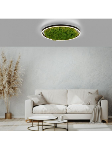 Lampa sufitowa GREEN RITUS 15392-66