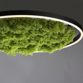 Lampa sufitowa GREEN RITUS 15392-66