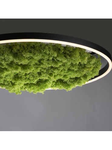Lampa sufitowa GREEN RITUS 15392-66