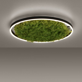 Lampa sufitowa GREEN RITUS 15392-66