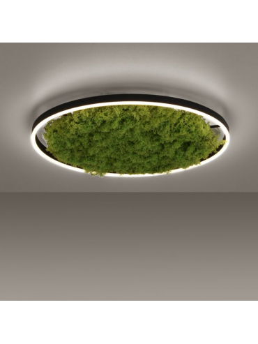 Lampa sufitowa GREEN RITUS 15392-66