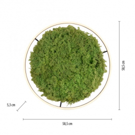 Lampa sufitowa GREEN RITUS 15392-66