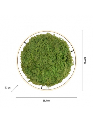 Lampa sufitowa GREEN RITUS 15392-66