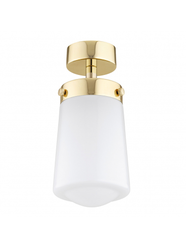 Lampa sufitowa PASADENA 8005
