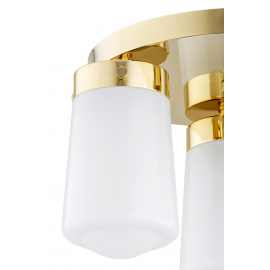 Lampa sufitowa PASADENA 6165