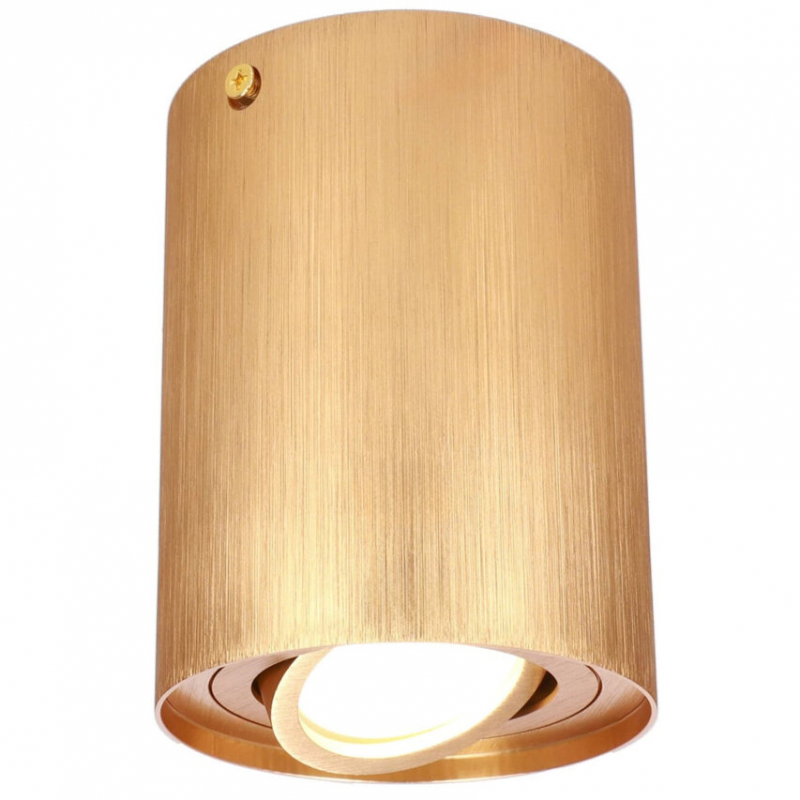 Spot SKAND 1 Gold EDO777225
