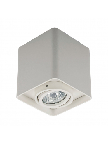 Spot QUADRY SL 1 20039-WH
