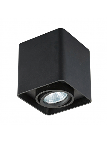 Spot QUADRY SL 1 20039-BK