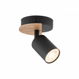 Lampa sufitowa COVER WOOD 4673