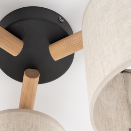 Lampa sufitowa DEVA NATURE 6865