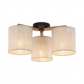Lampa sufitowa DEVA NATURE 6865