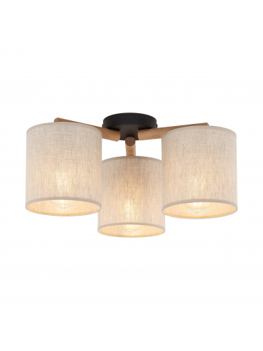 Lampa sufitowa DEVA NATURE 6865