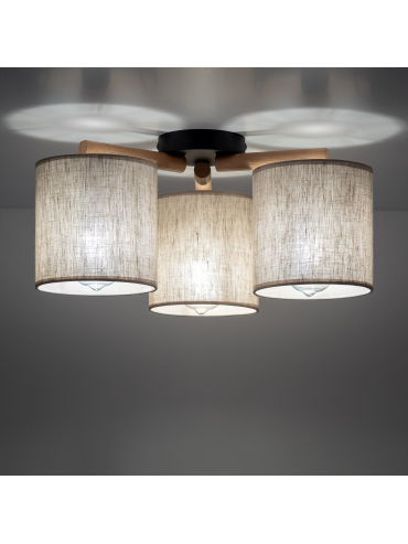 Lampa sufitowa DEVA NATURE 6865