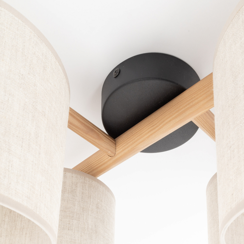 Lampa sufitowa DEVA NATURE 6866